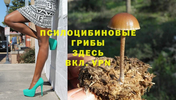 молекула духа Балабаново