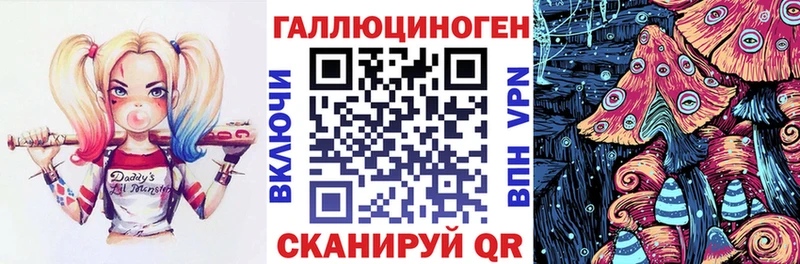 Галлюциногенные грибы Psilocybine cubensis  hydra ссылки  Чернушка 