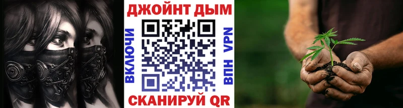 Каннабис конопля  Чернушка 